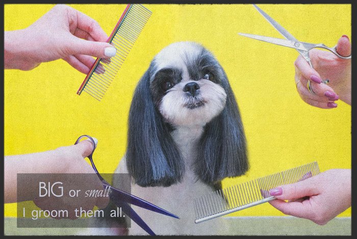 Fußmatte für den Hundesalon „Big or small, I groom them all“