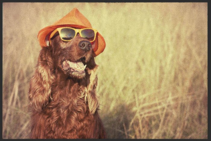 Fußmatte Hund mit Hut und Sonnenbrille