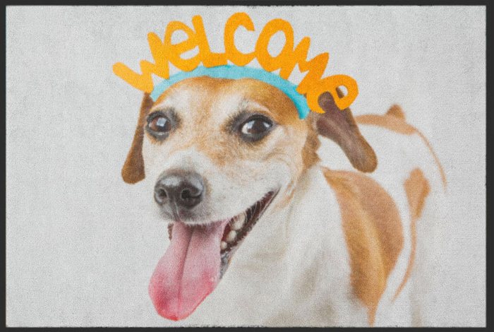 Fußmatte „Welcome“ mit Hund