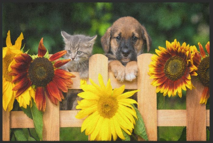Fußmatte Hund und Katze am Gartenzaun