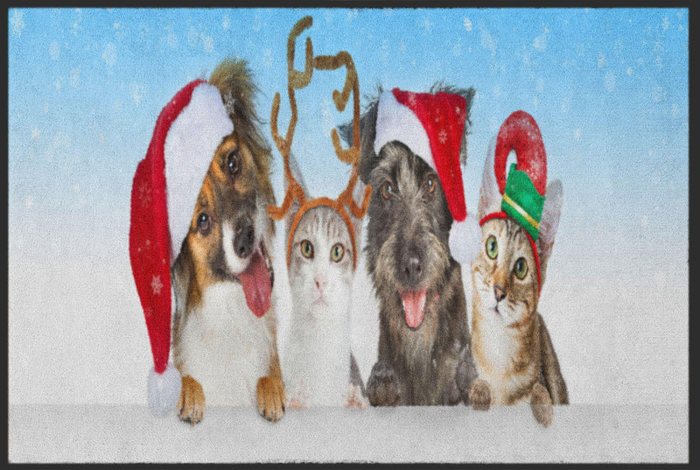Fußmatte mit Hunden und Katzen im Weihnachtslook